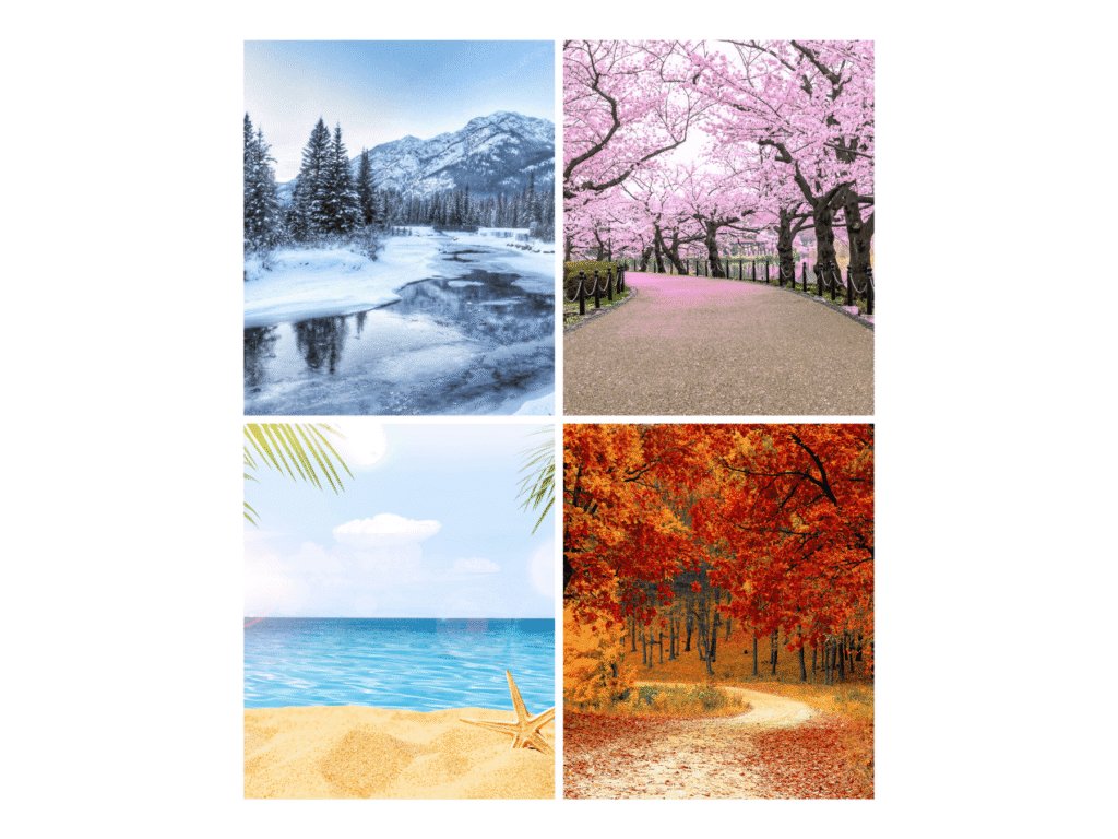 saisons en colorimétrie
